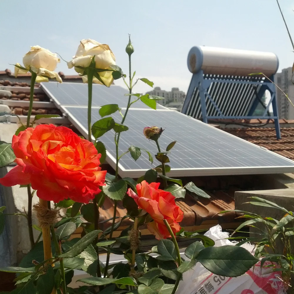 LOHAUS solar rooftop